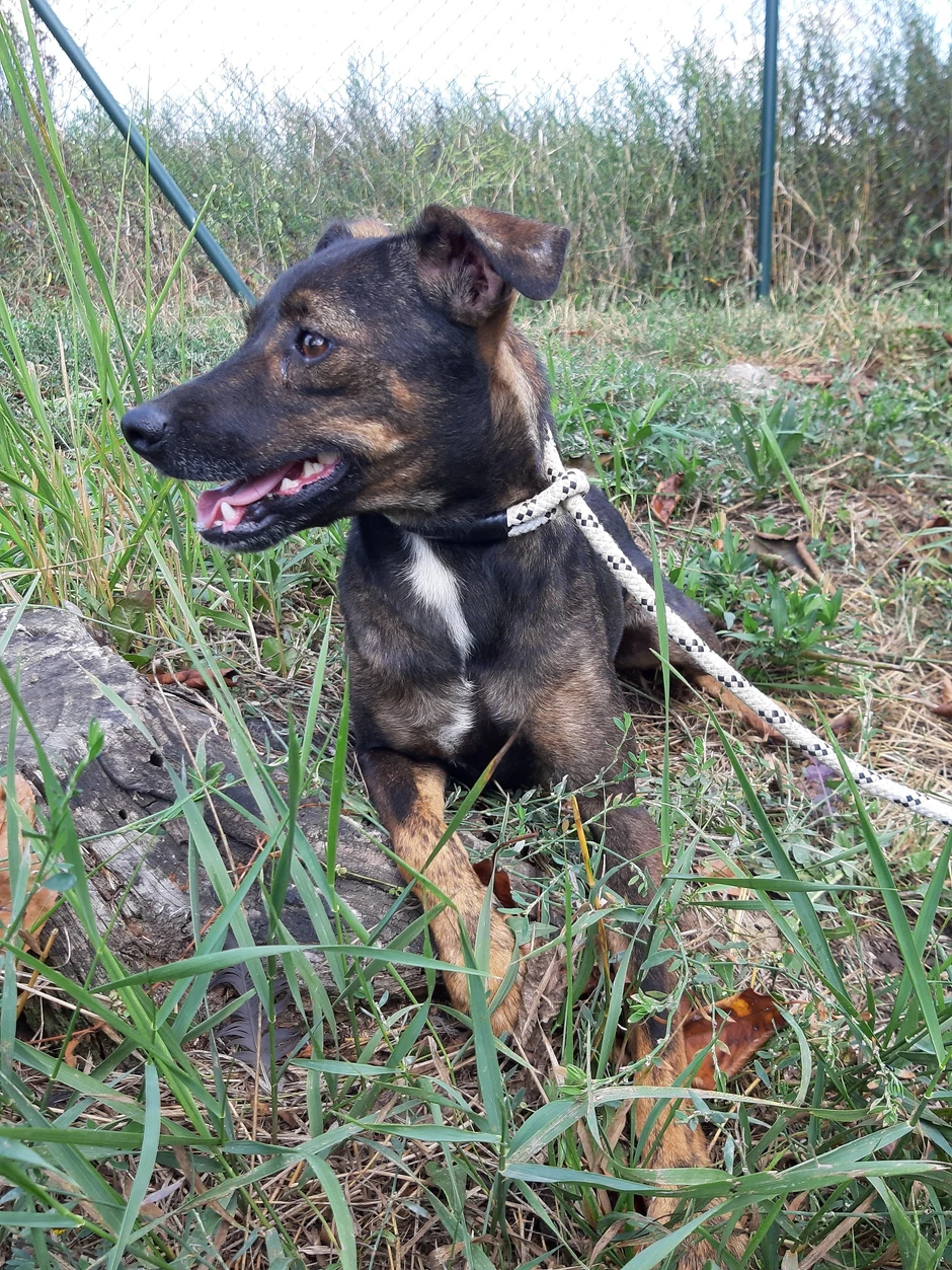 MIljan je star godinu i po dana