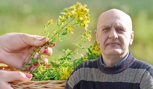 Kantarion se pokazao kao izuzetno koristan u lečenju različitih bolesti, kaže Marko Nestorović