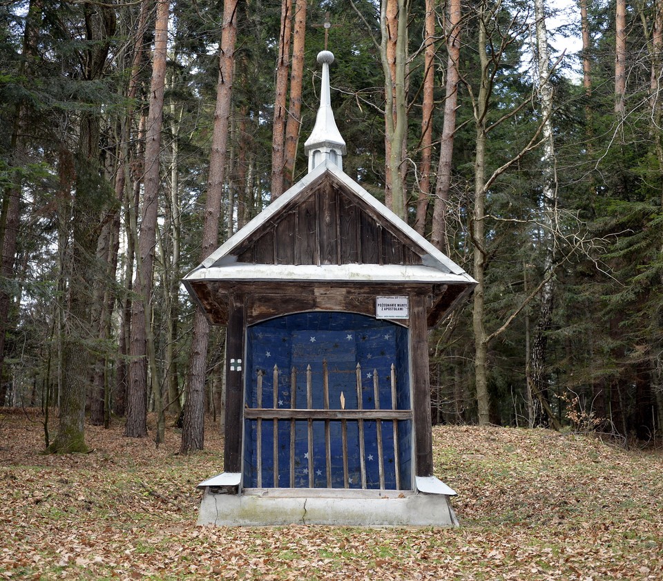 Obrazy przedstawiające Matkę Boską i Jezusa Chrystusa zostały sprofanowane