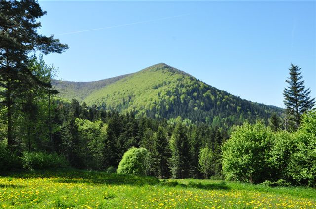 Szczebel, 977 m n.p.m. Trudno uwierzyć, że jeszcze przed chwilą byliśmy na samym szczycie.