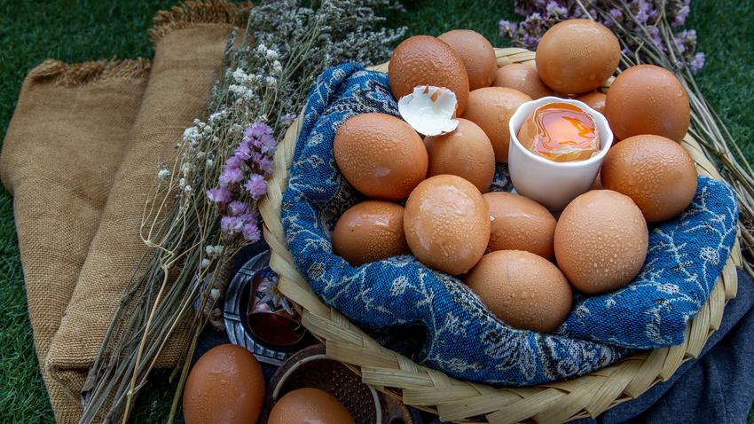 tökéletes főtt tojás titka repedés nélkül