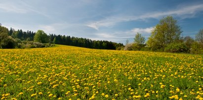 Czwartek najpogodniejszym dniem tygodnia. W piątek możliwe burze