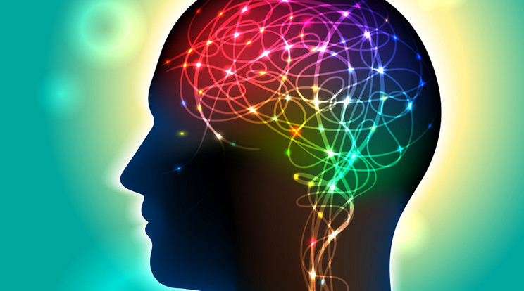 A testmozgás serkenti az agyműködést, és jó hatással 
van az idegrendszerre /Fotó: Shutterstock