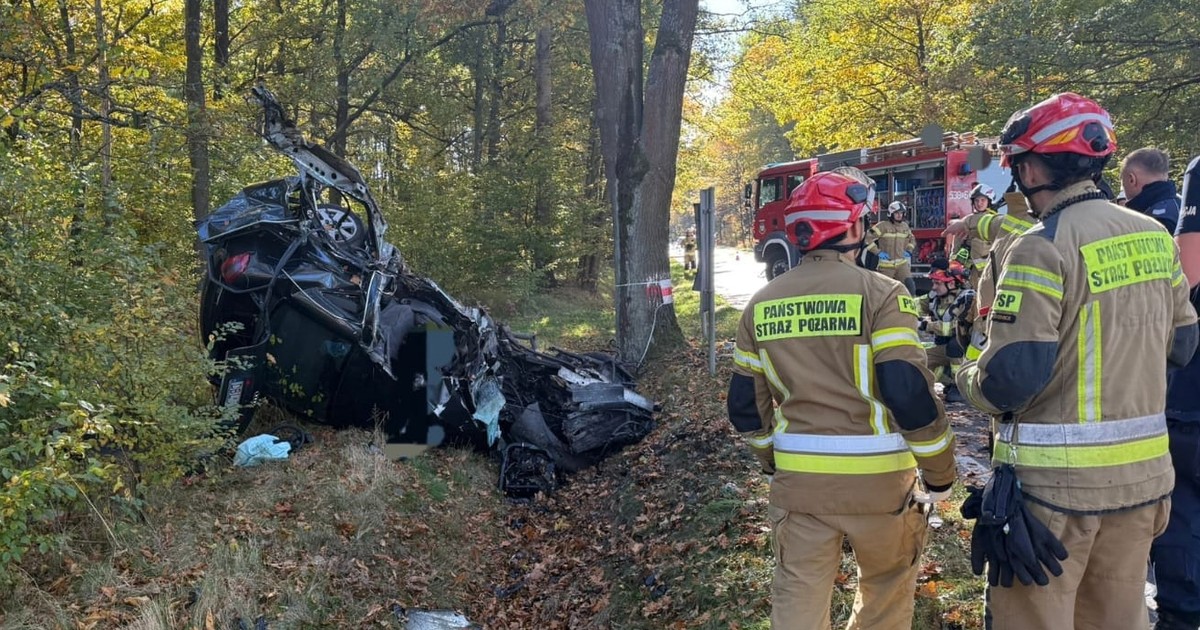 Koszmarny wypadek na Dolnym Śląsku. W roztrzaskanym aucie znaleźli ciało kierowcy