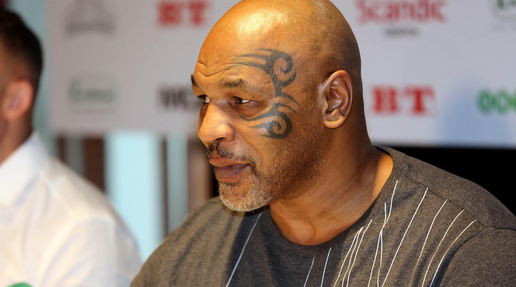 Nem mindenki ért egyet Mike Tyson visszatérésével / Fotó: Northfoto