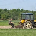 Nie każdy równo dokłada do polskiego PKB. Jest grupa 5,6 mln Polaków, którzy wyrabiają 50 proc. całości