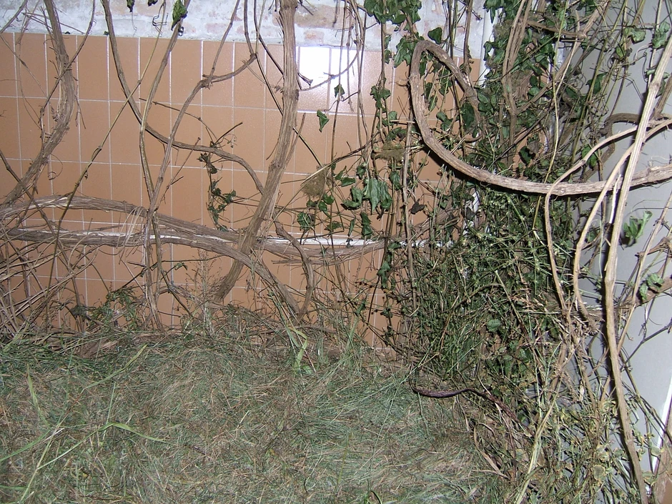 Kristina Drašković Boškov, Noć za ljubavnike, instalacija