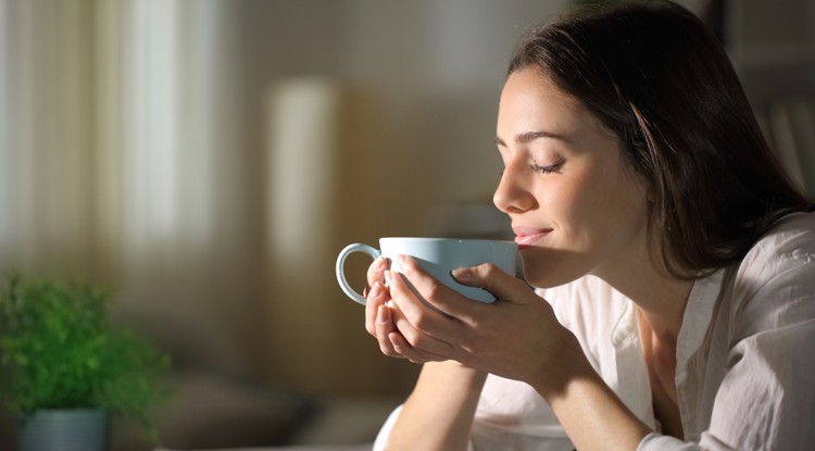 Ennek a bokornak a leveléből főzd a teát! Fotó: Shutterstock