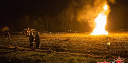 Erupcja ropy i gazu w Sękowej koło Gorlic