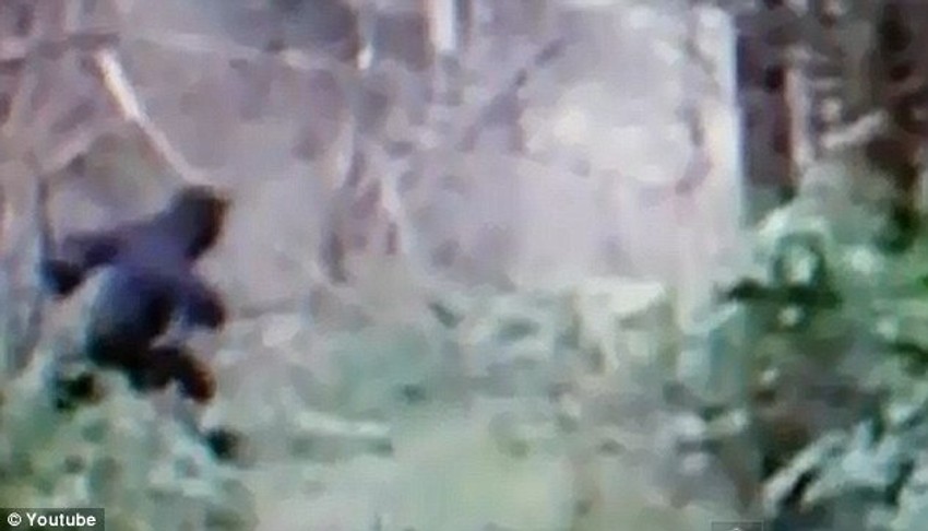 Viđali su ga čak i političari