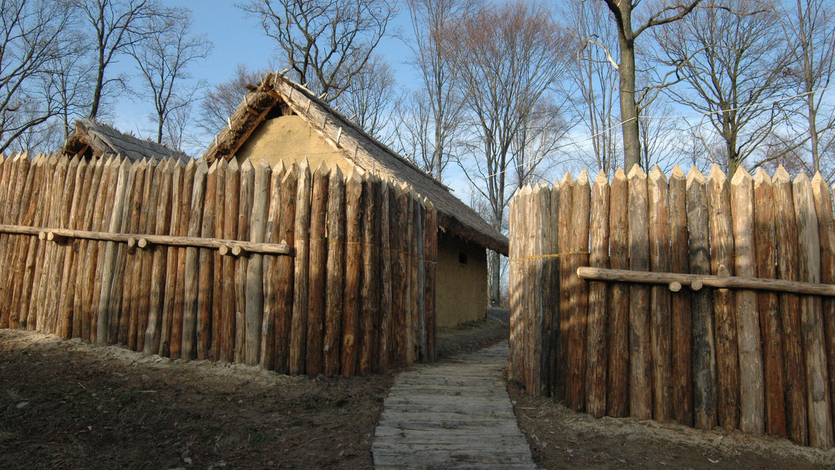 50 tys. osób zwiedziło otwarty pod koniec czerwca skansen archeologiczny Karpacka Troja w Trzcinicy k. Jasła (Podkarpackie) - poinformował w poniedziałek dyrektor Muzeum Podkarpackiego w Krośnie Jan Gancarski.