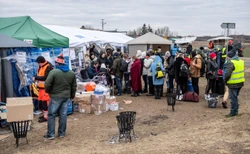 Maląg o specustawie: Legalny pobyt i prawo do pracy dla uchodźców z Ukrainy