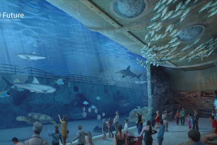 W Gdańsku powstanie gigantyczne oceanarium. Takiej inwestycji jeszcze nie było