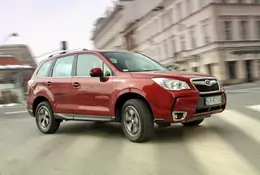 Używane Subaru Forester IV — jest drogi, ale trwały