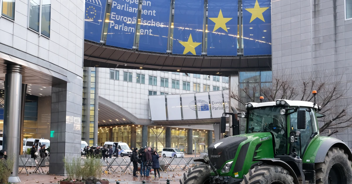 "Mercosur to pikuś". Kołodziejczak wskazuje na realne zagrożenie z Ukrainy