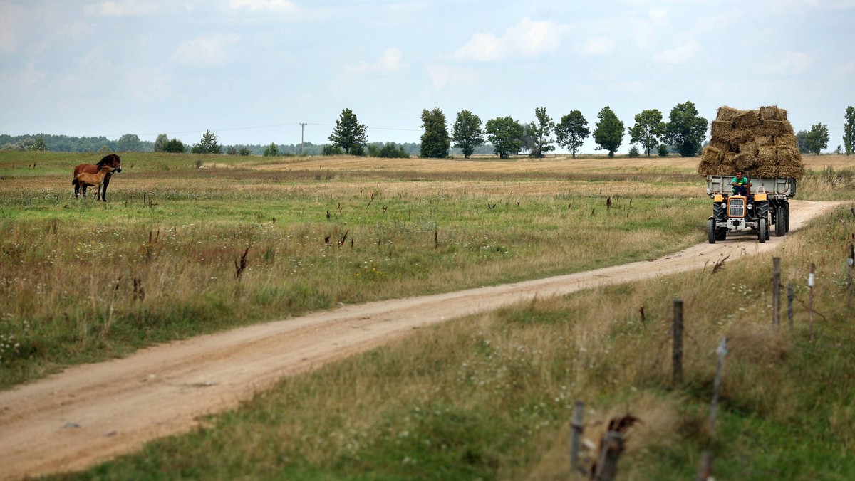 Proekologiczne, otwarte, dostępne transportowo i przedsiębiorcze ma być województwo podlaskie w 2030 roku - zakłada najnowsza strategia rozwoju województwa, nad którą samorząd województwa rozpoczyna konsultacje społeczne.