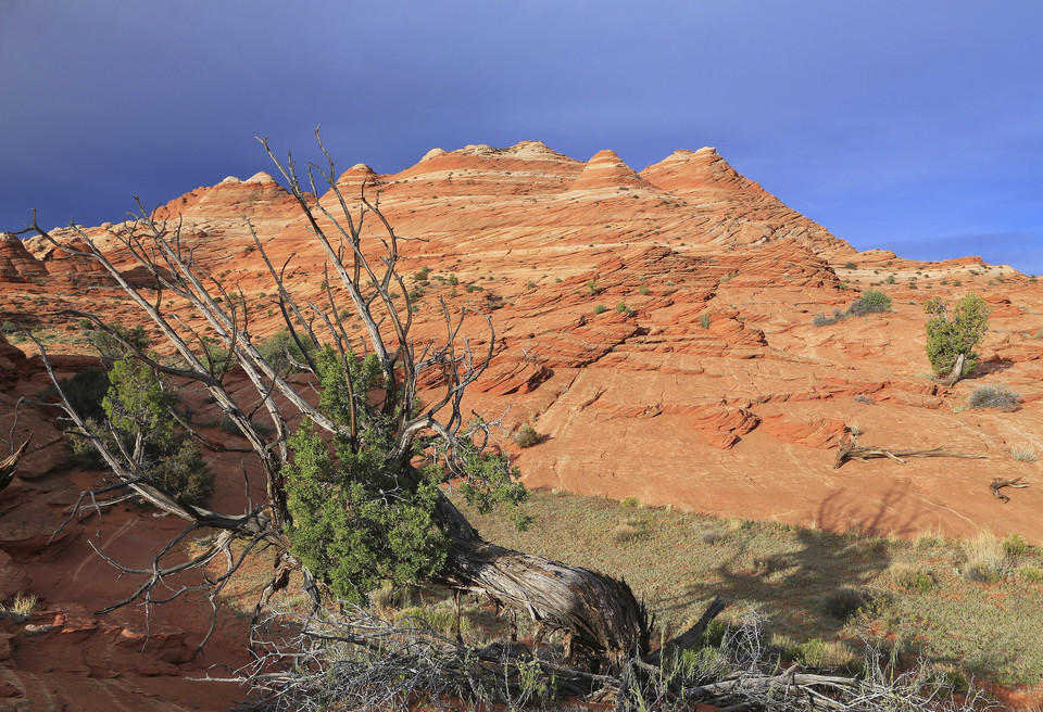 Paria-Vermilion Cliffs w Arizonie