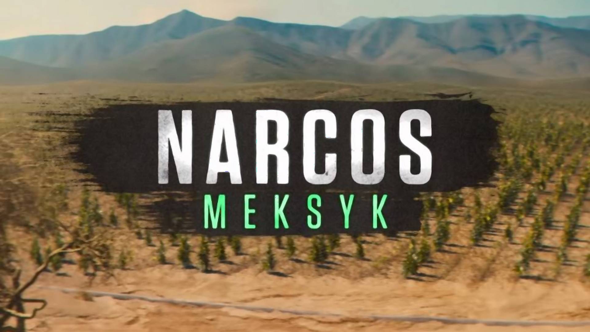 "Narcos" tym razem w Meksyku! Netflix zdradza datę premiery i pokazuje pierwszy zwiastun