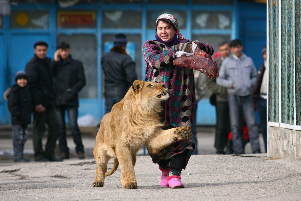 Tajikistan, DUSHANBE, :rel:d:bm:GF2E71K0M2801