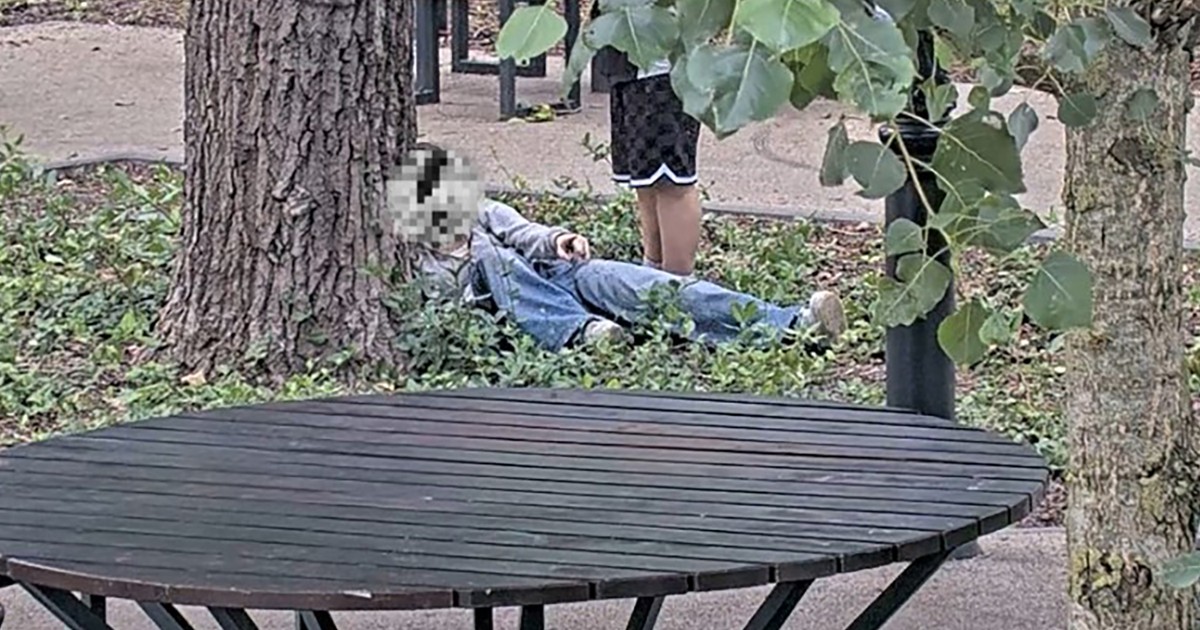 Wstrząsający widok przy drzewie. To była 14-latka. Dramat w Łodzi