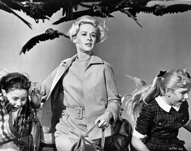 Tippi Hedren w filmie 'Ptaki'