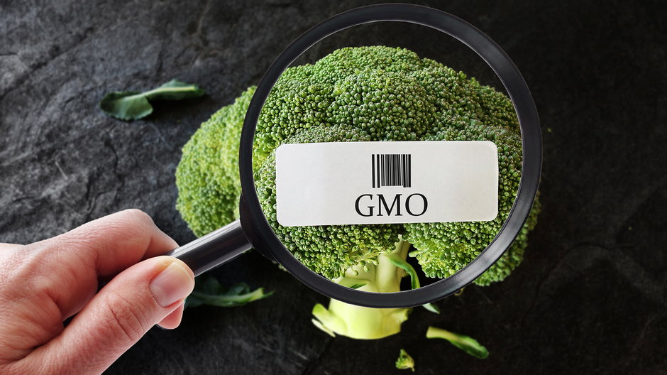Z żywnością modyfikowaną genetycznie wiąże się wiele kontrowersji
