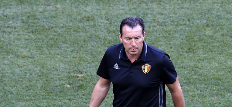 Marc Wilmots obawia się Zlatana Ibrahimovicia