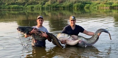 WOW! Wyłowili z Warty taaaaaakie sumy!