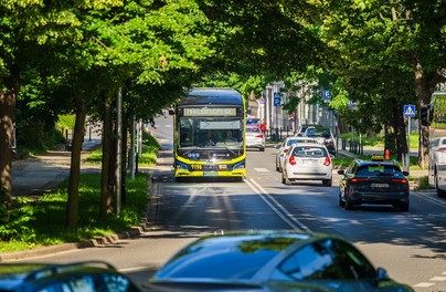 Najmniejszy Lew na testach w miejskiej dżungli