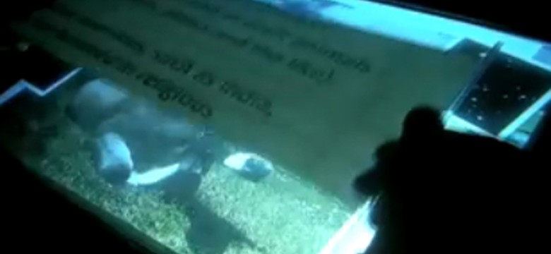Microsoft dementuje plotki o nowym wynalazku