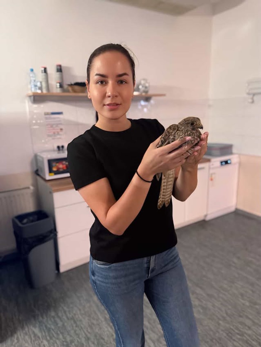 Beograđanka pronašla vetrušku