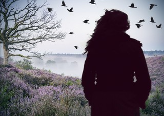 Bo śmierć jest po prostu ciekawa. Nordyckie kryminały Nessera i Indriðasona