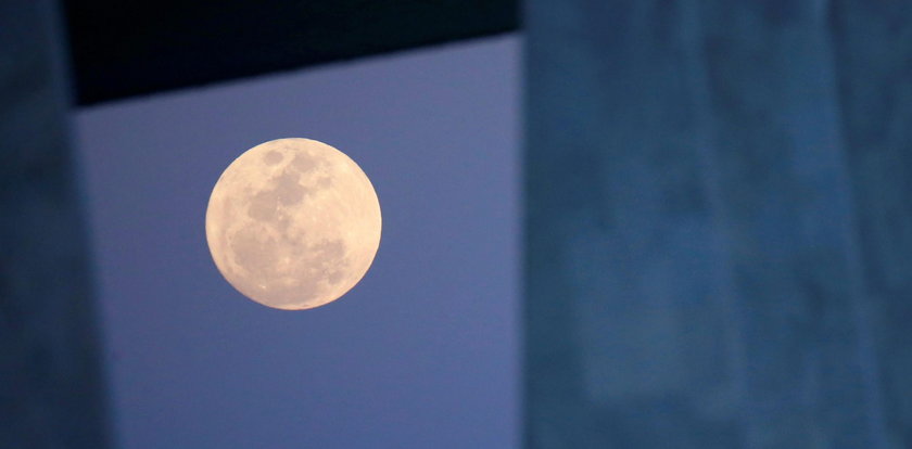 Jedna z najjaśniejszych pełni w roku! Sprawdź kiedy spojrzeć w niebo