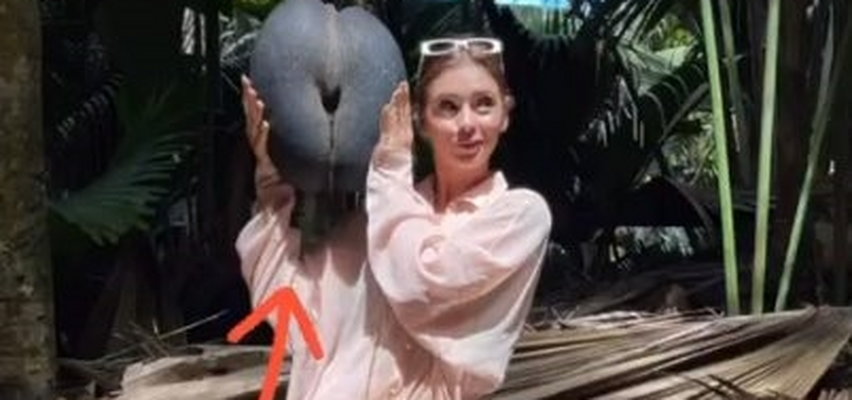 Klaudia Halejcio pokazuje "żeńskie pośladki", ale nie swoje, tylko kokosa. Zrobiło się niezręcznie? 