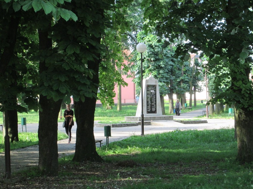 Vrane ne daju mira Lesničanima koji retko prolaze kroz park zbog ptica
