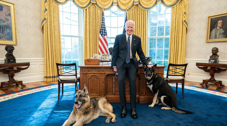 Joe Biden és két kutyája, Major és Champ. /Fotó: Northfoto