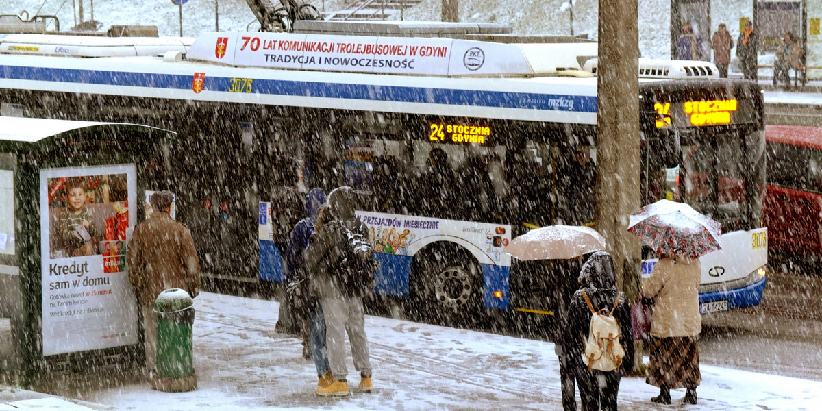 Idzie koszmar pogodowy! Mróz, śnieg i silny wiatr