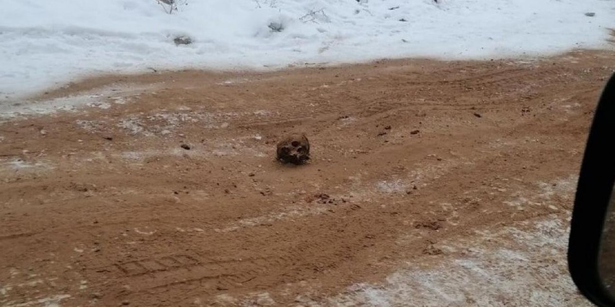 Ludzkie kości wymieszane z piaskiem. Drogowcy rozrzucili je na oblodzonej drodze