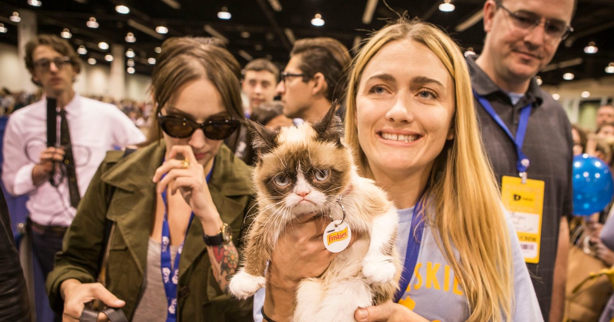 Grumpy Cat has died at the age of 7. Here's how her owner created a viral sensation out of her
