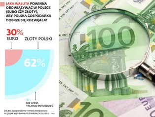 Euro w Polsce: czy stać nas na rachunek za wspólną walutę?