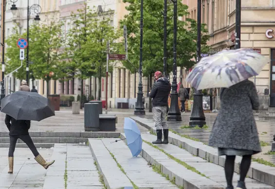 Ekspert tłumaczy, jak długo musiałoby padać, by zapobiec suszy w Polsce