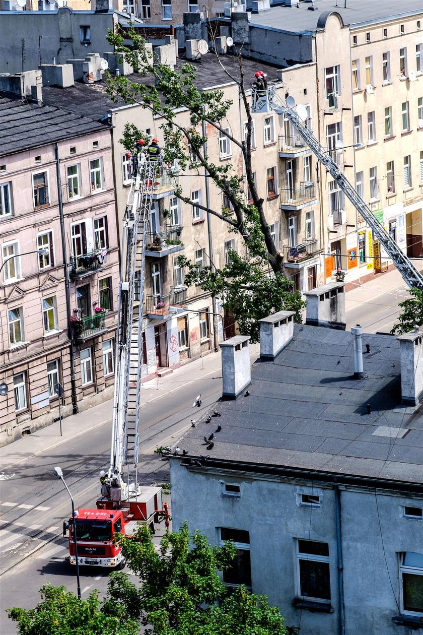 Przechylone drzewo zablokowało skrzyżowanie ulicy Zielonej i Strzelców Kaniowskich