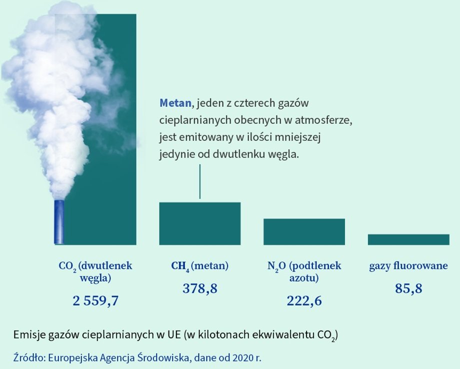 Metan należy do gazów cieplarnianych. 