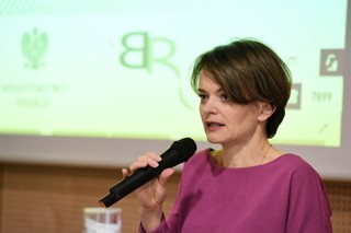 Emilewicz: Jeśli dojdzie do twardego brexitu naszym celem jest zajęcie miejsca Wielkiej Brytanii