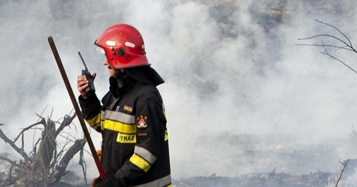 Uważaj, zanim to zrobisz. Od dziś grozi za to 30 tys. zł kary