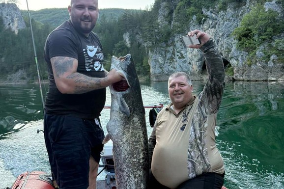 UPECAN SKORO 30 KILOGRAMA TEŽAK SOM U JEZERU OTILOVIĆ! Ekolozi se digli na noge, traže KAZNE