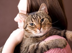 Kup sobie kota, bo dostaniesz... alzheimera