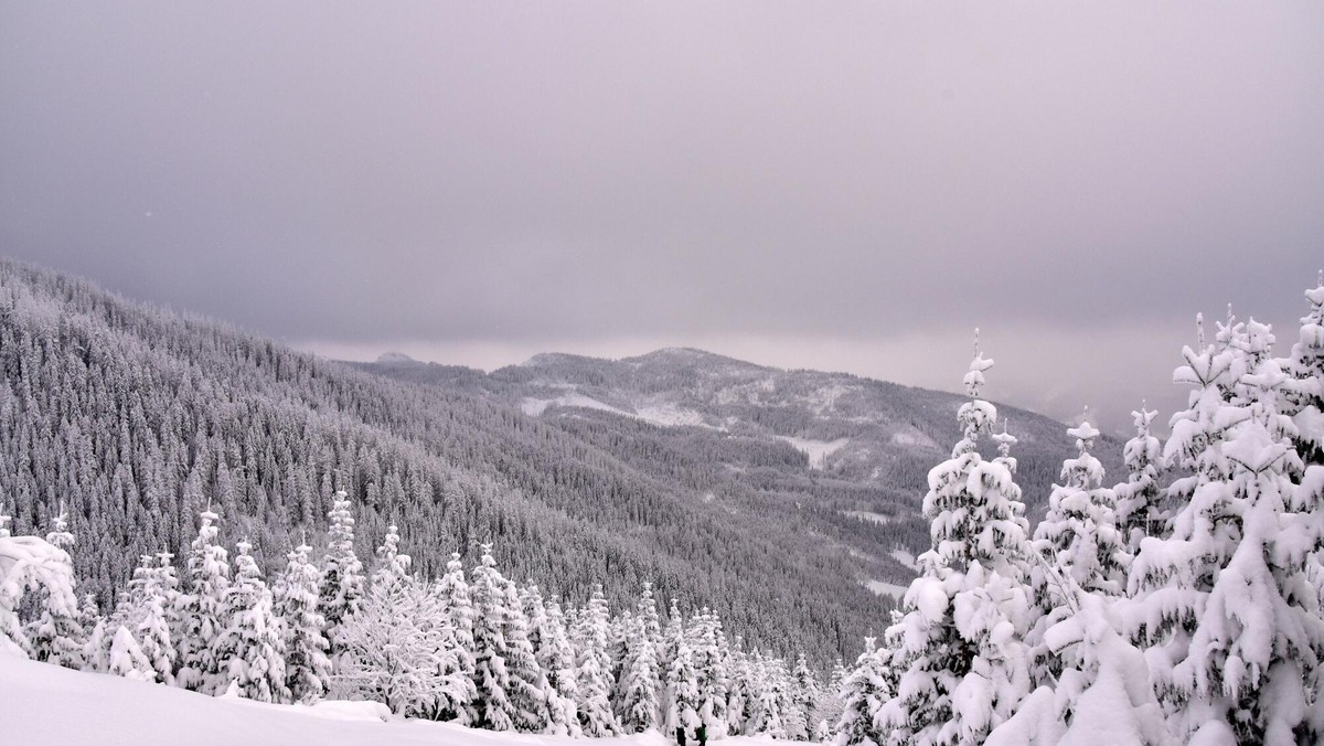 Tatry: TPN zamyka szlak, bo w pobliżu śpi niedźwiedź