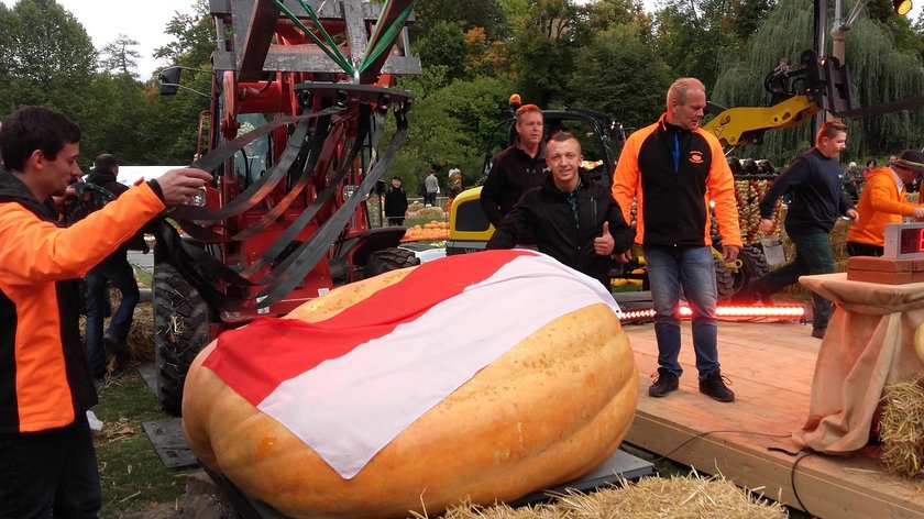 Mamy dynię gigantkę. Trzecią w Europie!