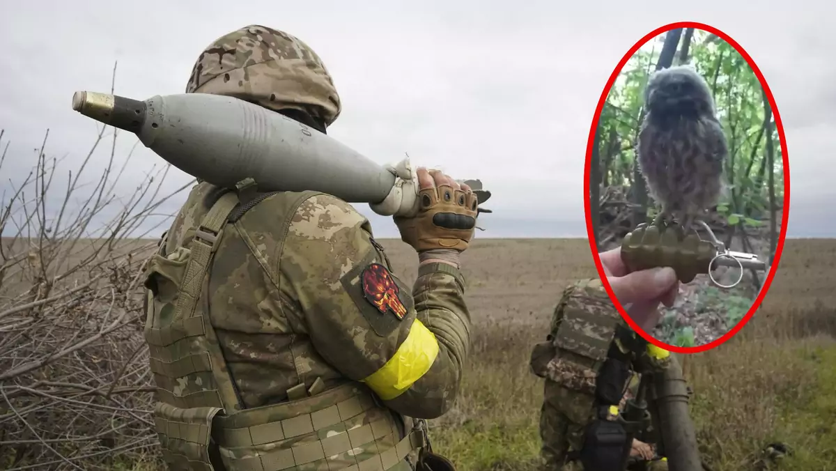 Nietypowy pomocnik ukrainskiej armii